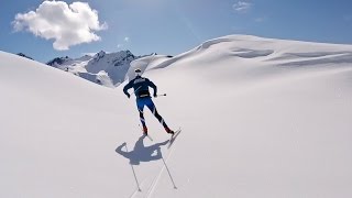 Backcountry XC Skiing  Alaska [upl. by Eesyak726]