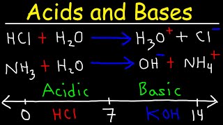 Acids and Bases  Basic Introduction  Chemistry [upl. by Ecinnej517]