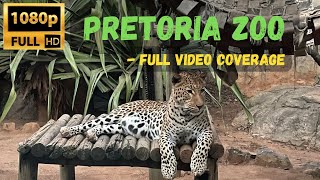 Pretoria Zoo  South Africa  HD Video  Full Version naturelovers africa animals zoo [upl. by Chelsey]