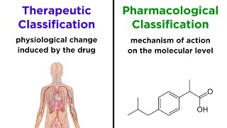 Categorizing Drugs Classes Names and Schedules [upl. by Dobbins715]