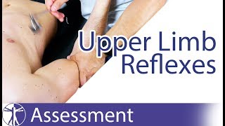 Upper Limb Deep Tendon Reflexes  Peripheral Neurological Examination [upl. by Ymarej]