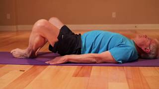 Diastasis Recti Exercises  Physical Therapy Diastasis Repair Exercises [upl. by Mroz]