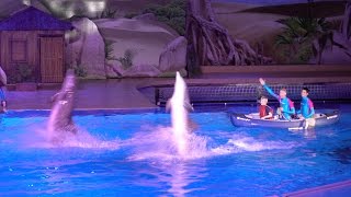 Dolfijnen show Dolphin Bay Adventure Boudewijn Seapark 2016 [upl. by Asined]