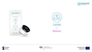 Lungs auscultation  rhonchi 1 [upl. by Lyns]