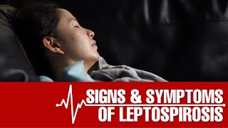 What are the Signs and Symptoms of Leptospirosis [upl. by Senskell899]