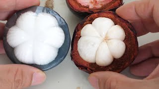 What Does Mangosteen Fruit Taste Like [upl. by Valerlan]