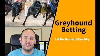 Greyhound Betting Little Known Reality [upl. by Bilbe]