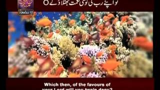 Surah Ar Rehman n° 55 Urdu amp English Translate By Qtv [upl. by Somisareg]