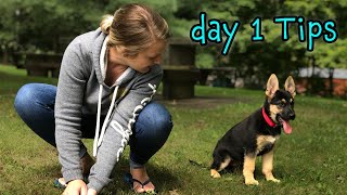 German Shepherd Puppy Day 1 Training Tips  START TRAINING NOW [upl. by Kirchner]