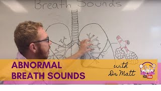 Abnormal Breath Sounds  Respiratory System [upl. by Thurlow468]