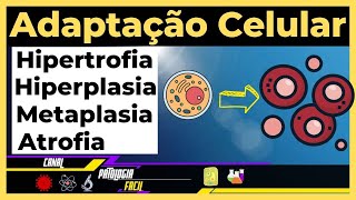 Adaptações celulares Hipertrofia Hiperplasia Atrofia Metaplasia Atualizado [upl. by Mendie981]