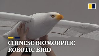 Chinese biomorphic robotic bird [upl. by Yesteb]