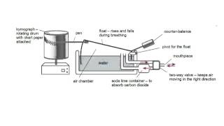 spirometer trace AS OCR Biology WHS [upl. by Ikiv279]