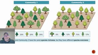 Species Diversity Shannon Index [upl. by Olwen]