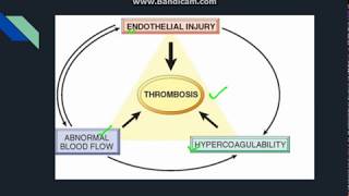 Thrombosis [upl. by Nuaj]