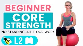 BEGINNER CORE  15 Minute STABILITY BALL Workout for BEGINNERS [upl. by Vudimir428]