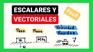 Magnitudes escalares y vectoriales [upl. by Auqinat]