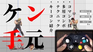 【スマブラSP】ケン手元解説基本コマンド反転昇竜など [upl. by Annet]