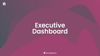 Executive Dashboard  Create Exclusive Dashboards  Visualise Survey Data [upl. by Tiebout]