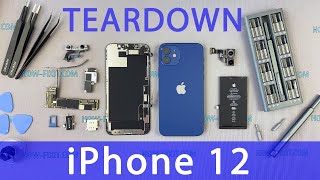 iPhone 12 Teardown [upl. by Esimehc]