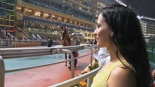 Horse Racing at the Hong Kong Jockey Club Happy Valley [upl. by Sylvia]