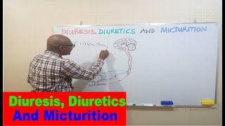 Diuresis Diuretics and Micturition [upl. by Essilrahc]