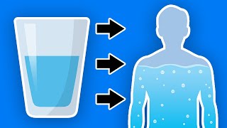 This Happens To Your Body When You Start Drinking More Water Every Day [upl. by Ahsenit]