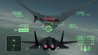 ACE COMBAT™ 5 THE UNSUNG WAR Razgriz VS Arkbird [upl. by Sower603]