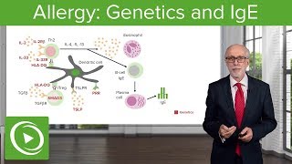 Allergy Genetics and IgE – Immunology  Lecturio [upl. by Lynnette954]