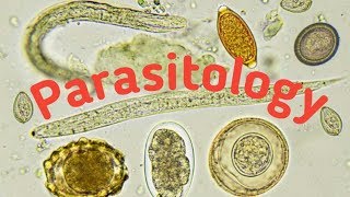 Introduction of Parasitology  Type of parasites and Host [upl. by Narual]