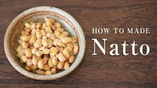 How to Make Natto  A Tutorial on How to Make Homemade Fermented Soybeans [upl. by Mw]