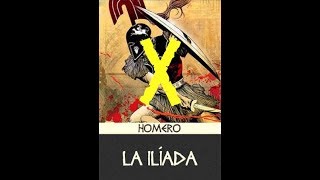 La Ilíada \ Canto 10 \ Resumen [upl. by Annhej]