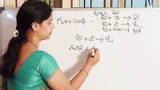 గుణ సంధి  Guna sandhi  Telugu Grammar [upl. by Dame837]