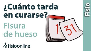 Cuánto tarda en curarse una FISURA DE HUESO [upl. by Yecies]