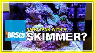 FAQ 11 Is a skimmer necessary on a nano reef aquarium  52 FAQ [upl. by Eeladnerb]