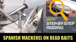 How to rig swimming baits for mackerel [upl. by Astra63]