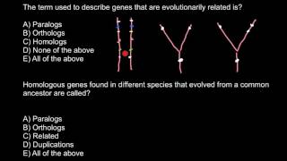 Definition of Paralog Ortholog Homolog [upl. by Aylmer732]