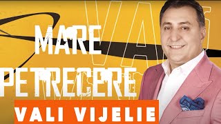 VALI VIJELIE  E mare petrecere HIT [upl. by Bobbie157]