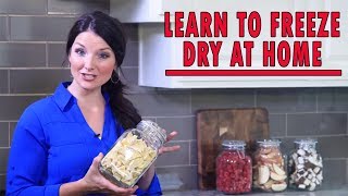 Home Freeze Drying  How It Works [upl. by Darlene]