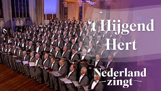 Nederland Zingt Psalm 42  t Hijgend Hert [upl. by Sterne]