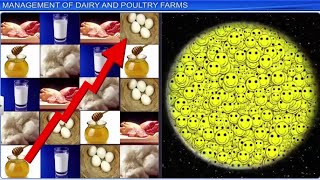 CBSE Class 12 Biology  Strategies for Enhancement In Food Production  Full Chapter  By Shiksha [upl. by Laise145]