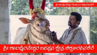 Sri Kalabhairaveshwara Basappana Punyakshetra ChikkarasinakereMy Vlogs Kannada Channel [upl. by Fraase]