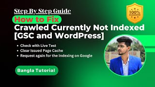 How to Fix Crawled Currently Not Indexed GSC and WordPress [upl. by Bendix]