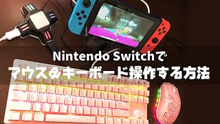 【Nintendo Switch】マウス＆キーボード操作にする方法【コンバーター】 [upl. by Seymour164]