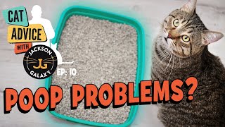 Litter Box Problems Cats Covering Their Poop [upl. by Acie]