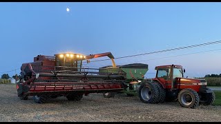 Soybean Harvest with Case iH combine [upl. by Yvaht]