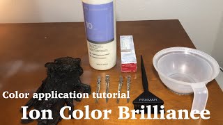 Color Application tutorial  Ion Color Brilliance for beginners [upl. by Tace803]