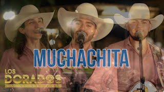 Los Dorados  Muchachita En Vivo [upl. by Delora]