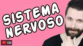 SISTEMA NERVOSO  FISIOLOGIA  Aula  Biologia com Samuel Cunha [upl. by Sarine]