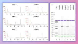 Forensic DNA Profiling Part 3 [upl. by Damaris]